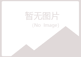 重庆山柳会计有限公司